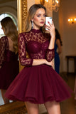 Burgundy Tulle Corset High Illusion Neck Short Party Dress with Lace