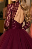 Burgundy Tulle Corset High Illusion Neck Short Party Dress with Lace