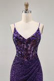 Sparkly Dark Purple Corset Cocktail Dress with Sequins