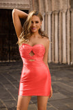 Strapless Cut Out Fuchsia Beaded Tight Cocktail Dress