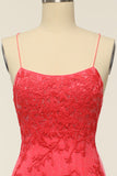 Coral Backless Long Prom Dress with Appliques
