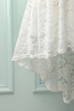 White V-Neck Lace Dress