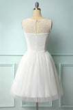White Lace Graduation