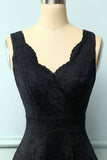 Black V-Neck Lace Dress
