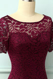 Burgundy Bodycon Dress