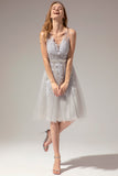 Grey Lace Dress