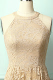 Champagne Lace Dress