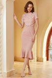 Pink Lace Bodycon 1960s Dress