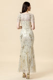 Golden V-Neck Short Sleeves Long 1920s Dress