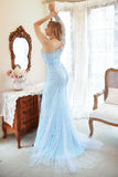 Mermaid One Shoulder Sky Blue Plus Size Prom Dress with Appliques
