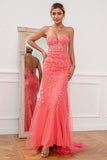 Coral Applique Tulle Prom Dress