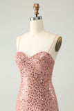 Sparkly Blush Spaghetti Straps Sequins A Line Short Homecoming Dress