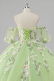 Princess Lemon Green Tulle Ball Gown Long Quinceanera Dress with Appliques