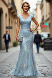 Dark Red Mermaid V-Neck Embroidered Mother Of The Bride Dress with Sequins