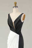 Black White Sheath Deep V Neck Long Gala Dress