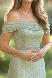 Elegant Mint Sheath Scoop Beaded Long Tulle Mother Of the Bride Dress with Embroidery