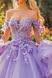 Lilac Floor Length Appliqued Quinceanera Dress with 3D Flowers