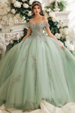 Dusty Sage Off The Shoulder Lace Appliqued Tulle Quinceanera Dress