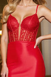 Red Corset Spaghetti Straps Appliqued Mini Tight Prom Dress