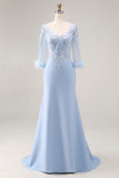 Sky Blue Mermaid Mother Of The Bride Dress With Appliques
