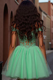 Tulle Light Green A Line Short Prom Dress with Appliques