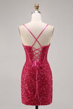 Sparkly Fuchsia Tight Corset Cocktail Dress