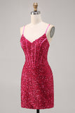 Sparkly Fuchsia Tight Corset Cocktail Dress