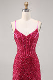 Sparkly Fuchsia Tight Corset Cocktail Dress