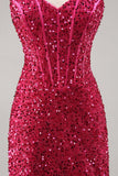 Sparkly Fuchsia Tight Corset Cocktail Dress