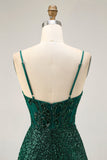 Sparkly Bodycon Dark Green Sequins Corset Cocktail Dress
