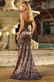 Coffee Leopard Mermaid Strapless Corset Long Prom Dress with Slit