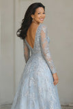 Silver A Line V-Neck Long Mother of the Bride Dress with Appliques