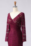 Cabernet Lace Appliqued Mermaid V-Neck Long Mother of the Bride Dress