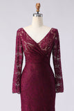 Cabernet Mermaid V-Neck Lace Applique Mother of the Bride Dress