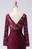 Cabernet Lace Appliqued Mermaid V-Neck Long Mother of the Bride Dress