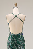Sparkly Dark Green Sheath Open Back Long Prom Dress with Sequins