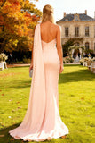 Pink One Shoulder Ruched Mermaid Formal Dress with Side Streamer