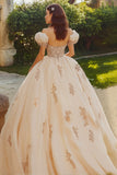 Princess Blush Ball Gown Off the Shoulder Tulle Quinceanera Dress with Appliques