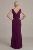 Grape Sheath V Neck Mother of the Bride Dress with Cloak