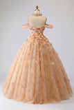 Ball Gown Champagne Off the Shoulder Princess Quinceanera Dress