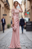 Blush Sheath Bateau Neck Floral Ruched Long Mother Of the Bride Dress with Appliques