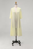 Sky Blue Chiffon Half Sleeves Jacket