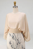 Champagne Sequin Long Sleeve Mermaid Mother Of Bride Dress