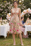 Tulle A-Line Blush V-Neck Embroidered Floral Midi Dress