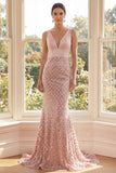 Sparkly Blush V Neck Sequin Mermaid Maxi Dress