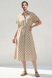 Khaki Polka Dots A Line Collared Midi Work Dress