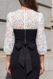 Black and White Lace 3/4 Sleeve Sheath Work Dress