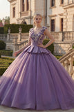 Purple V-Neck Appliqued Ball Gown Floral Quinceanera Dress