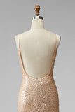 Sparkly Champagne Sequins Mermaid Long V-Neck Pageant Dress with Beading