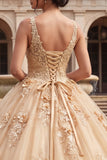 Champagne Ball Gown V Neck Appliqued Quinceanera Dress